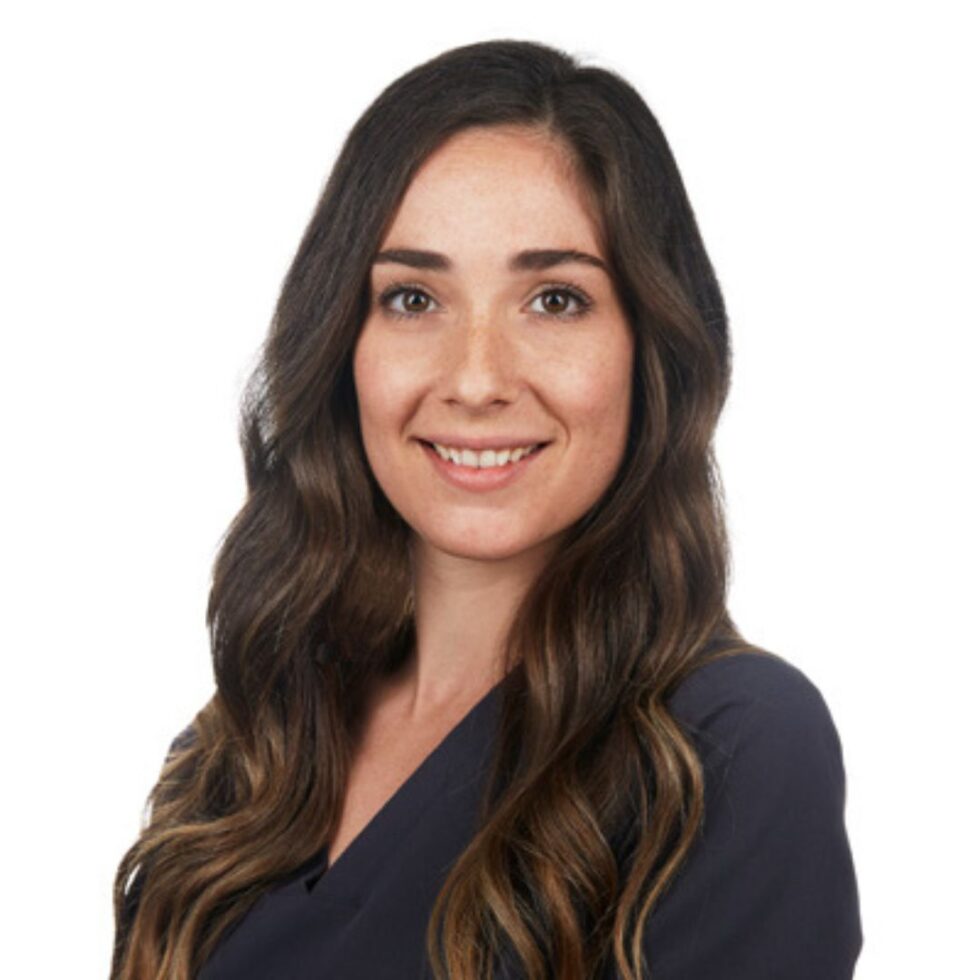 Veterinarian In Brooklyn, NY 11217 VERG Brooklyn