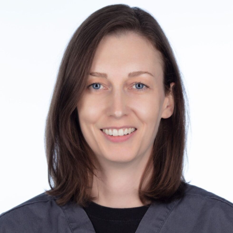 Veterinarian In Brooklyn, NY 11217 VERG Brooklyn