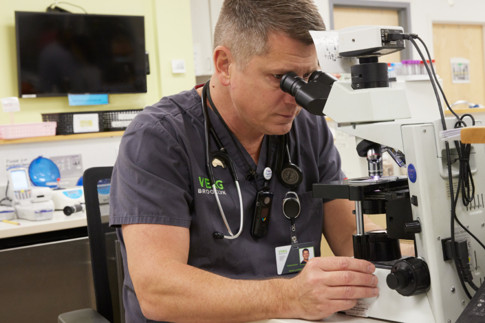 Best Emergency Vet In Brooklyn, NY 11217 VERG Brooklyn