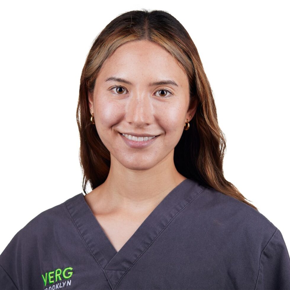 Veterinarian In Brooklyn, NY 11217 VERG Brooklyn