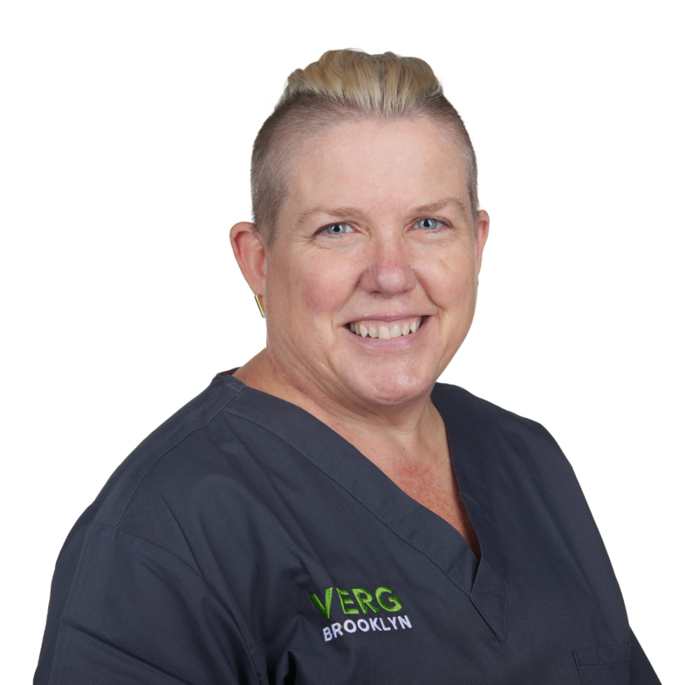 Veterinarian In Brooklyn, NY 11217 VERG Brooklyn