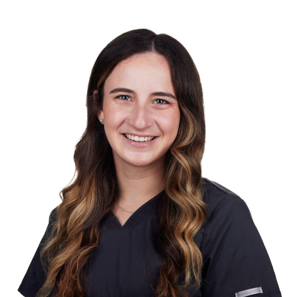 Veterinarian In Brooklyn, NY 11217 VERG Brooklyn