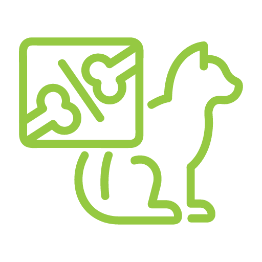 green Diagnostic Imaging Xray Cat Icon