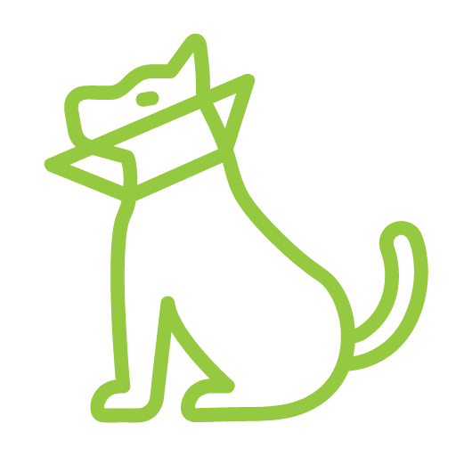 green Dog Surgical cone Icon