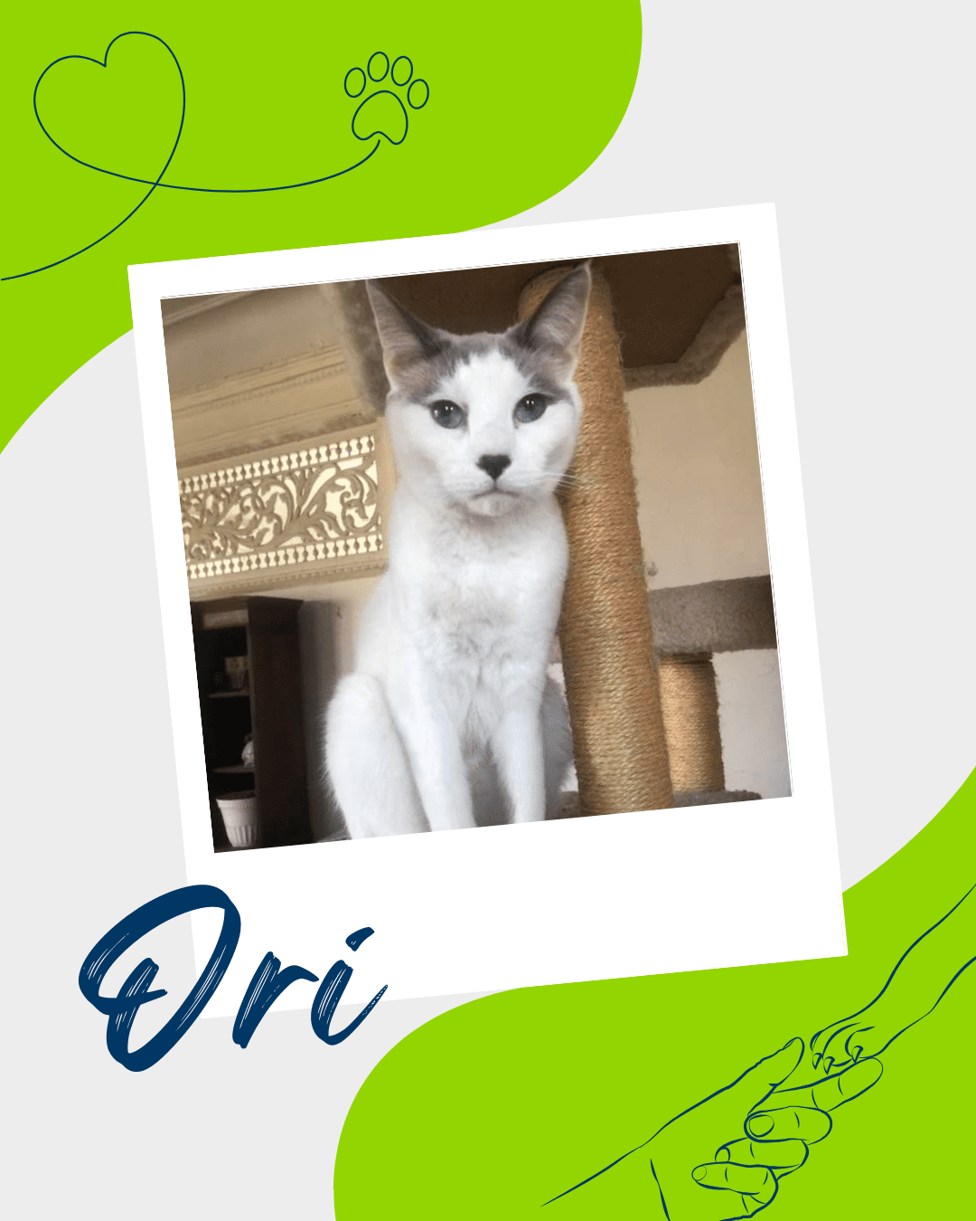 Ori