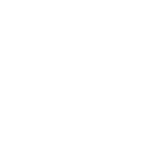 Positive Tails logo