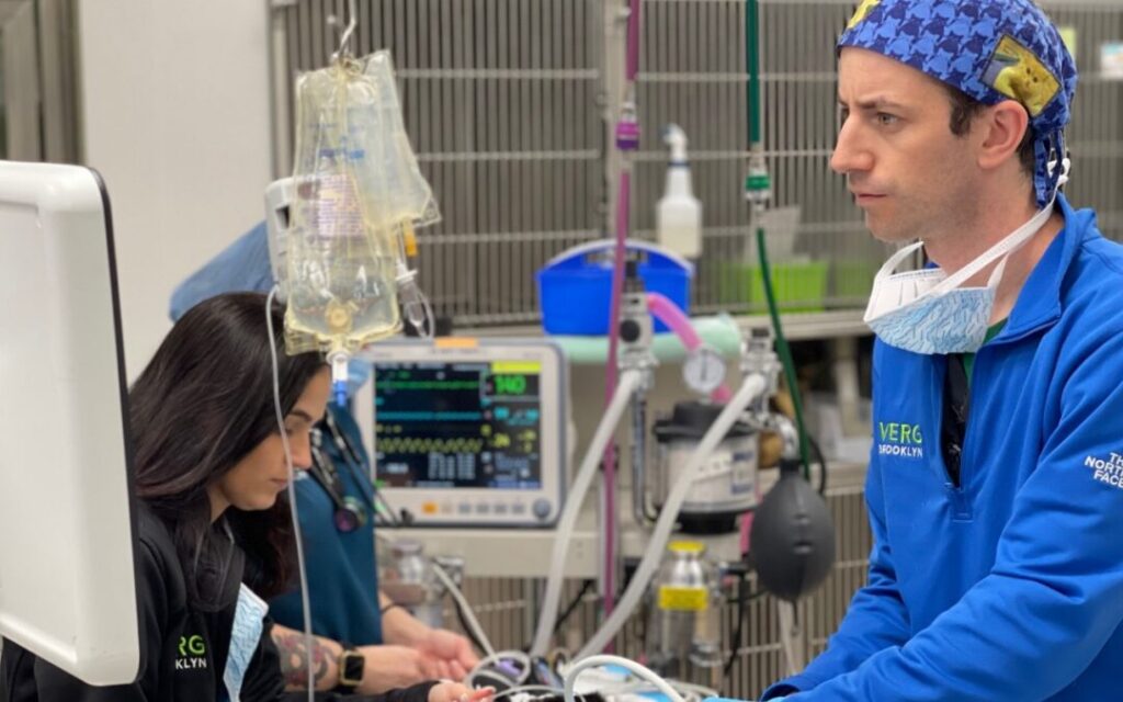 Vet Examining Machine During Procedure