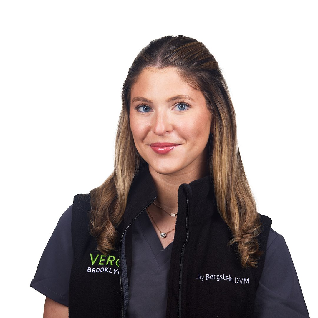 Livy Bergstein