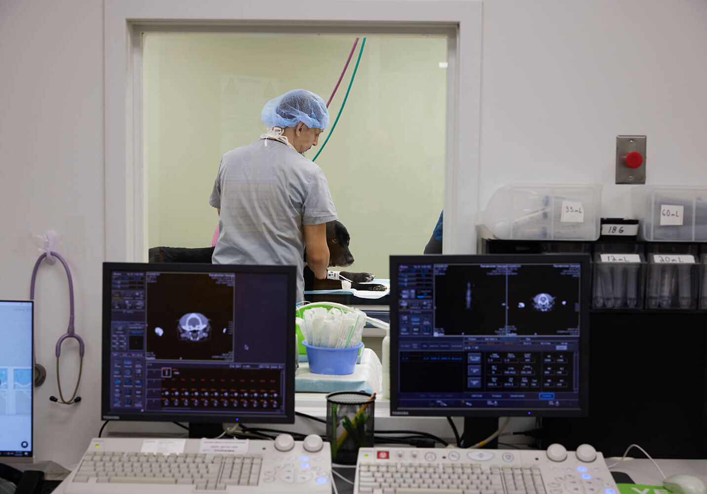 veterinary imaging equipment in the foreground with a vet performing a scan on a black dog in the background
