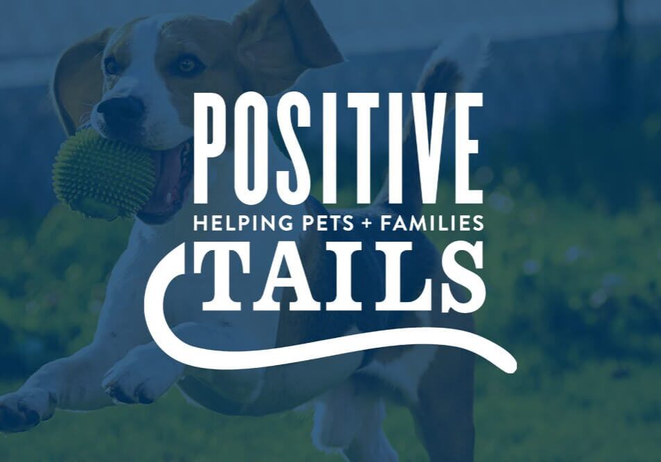 Pawsitive Tails Logo layered Over photo of happy dog with ball